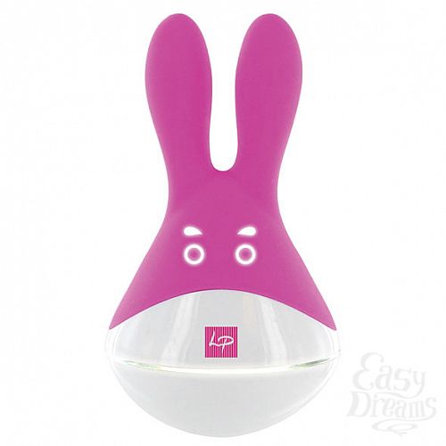  1:   O-Bunny, 