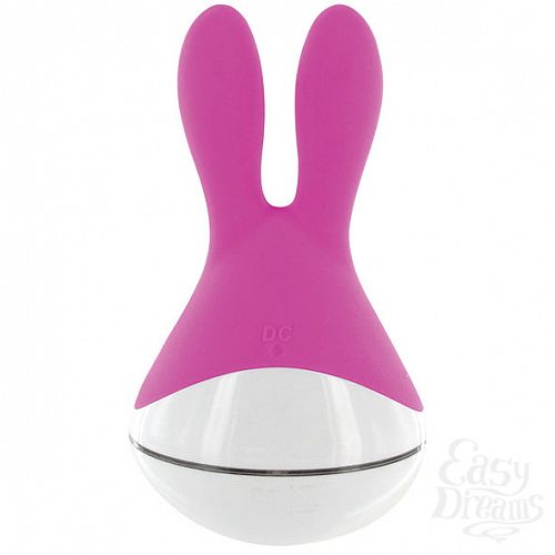  6   O-Bunny, 