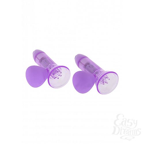 ���������� 2  ��������������� ��� ����� NIPPLE PUMP PURPLE B002R4F117R4