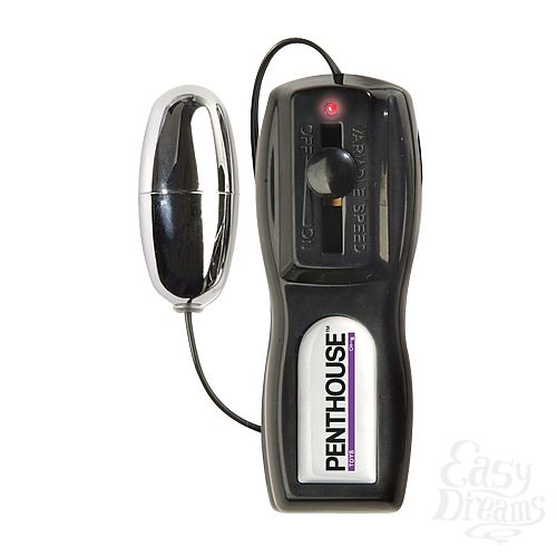  3   Penthouse Pet Stella Styles   CyberSkin  , 