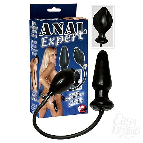  1:   Anal Expert