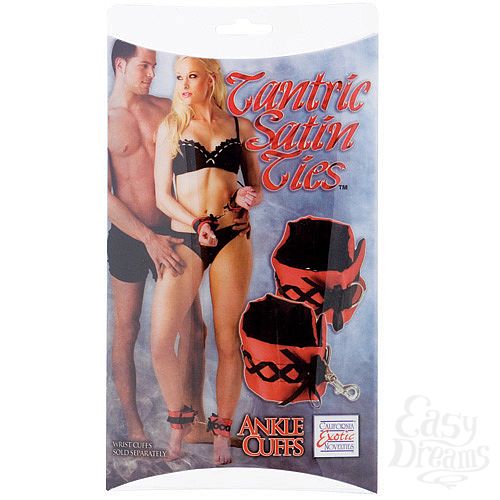  1:      TANTRIC 4025-40 BX SE