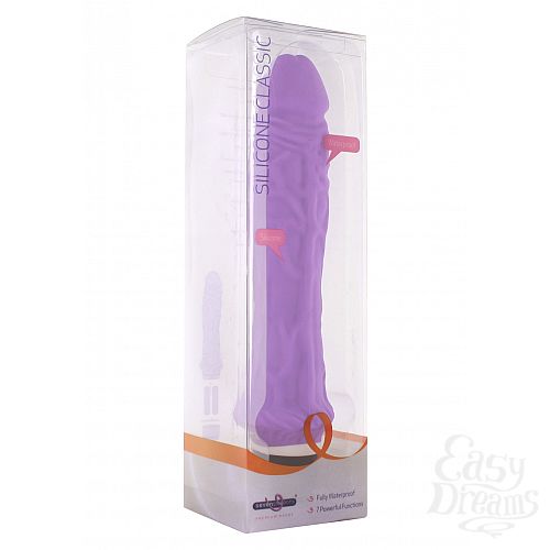 ���������� 2  �������� CLASSIC LARGE PURPLE V010B1X075P9