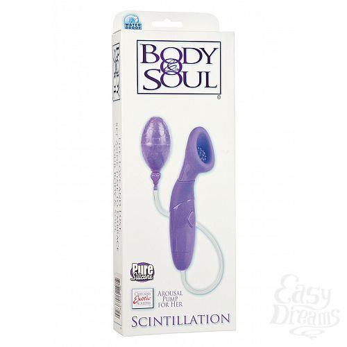 ���������� 2  ������������ ���������� BODY&SOUL SCINTILLATION PURPLE 4538-10BXSE