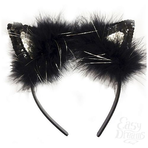 ���������� 1:  ���� ������� ���������