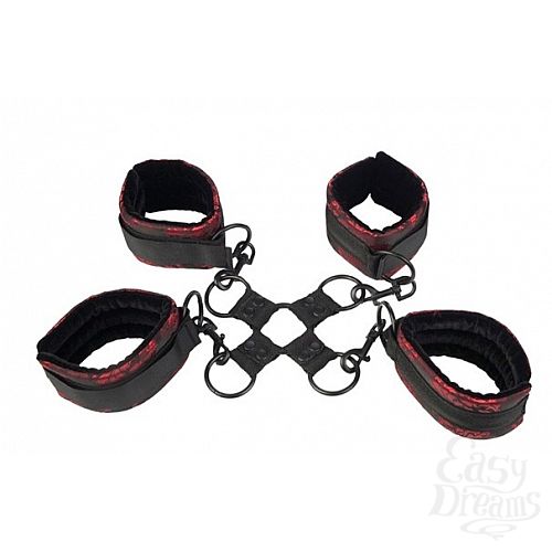 ���������� 1:  ��������� ��� ��� � ��� Hog Tie