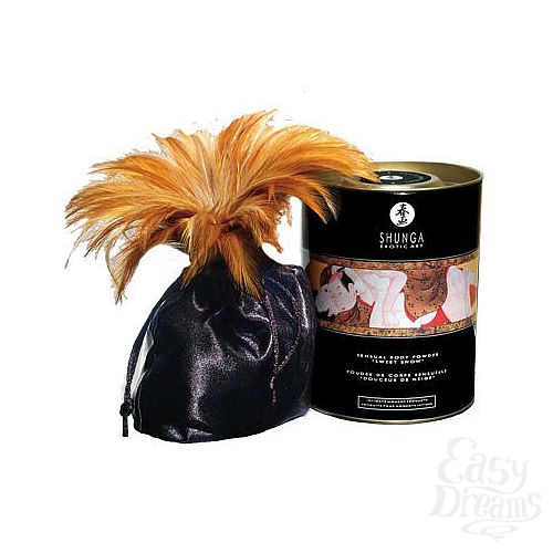 ���������� 1:  ����� ��� ����  - ���������� � ��������