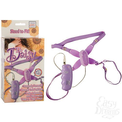 ���������� 1:  ���������� ������� DAISY � ��������� 0578-14 BX SE