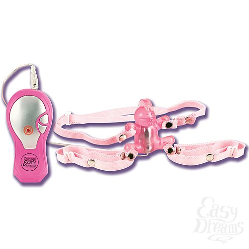  2  - BUNNY HOPPER 584-04 BX SE