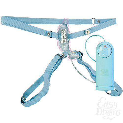 ���������� 2  �����-���������� ������� DOLPHIN 0613-50 BX SE