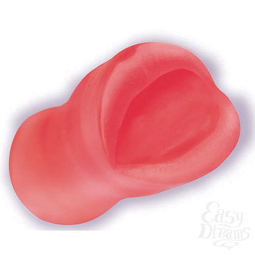 ���������� 2  ���� �����-����������� PALM PAL 0683-02 BX DJ