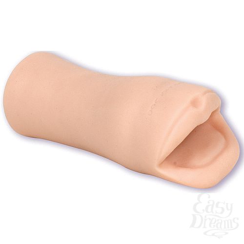 ���������� 2  �����-����������� PALM PAL 0683-05 BX DJ