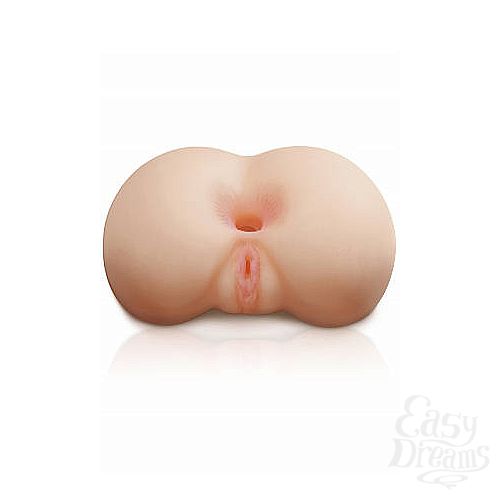  2  - THE GAPE   