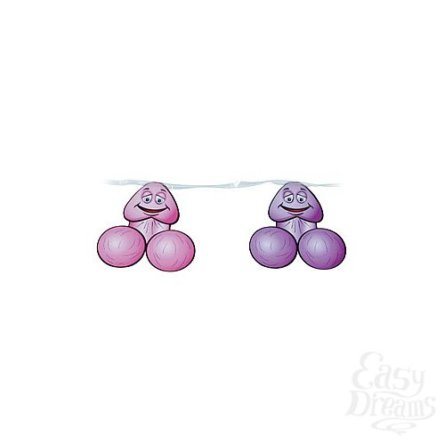 ���������� 2  �������� ��� ��������� PECKER BANNER 10 