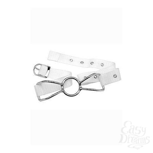  3     Asylum Patient Mouth Restraint  