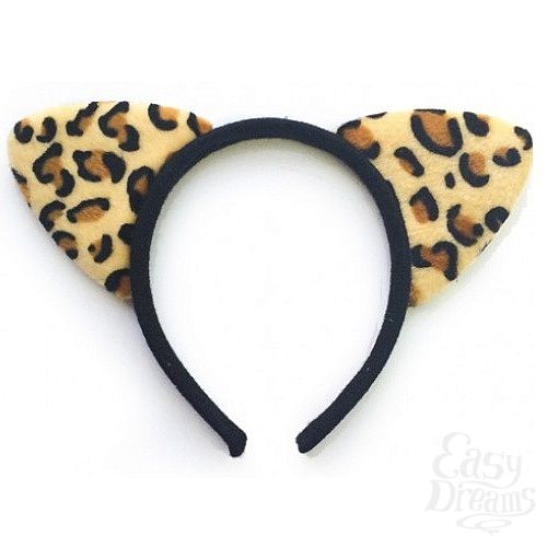 ���������� 1:  ���� ����� �������