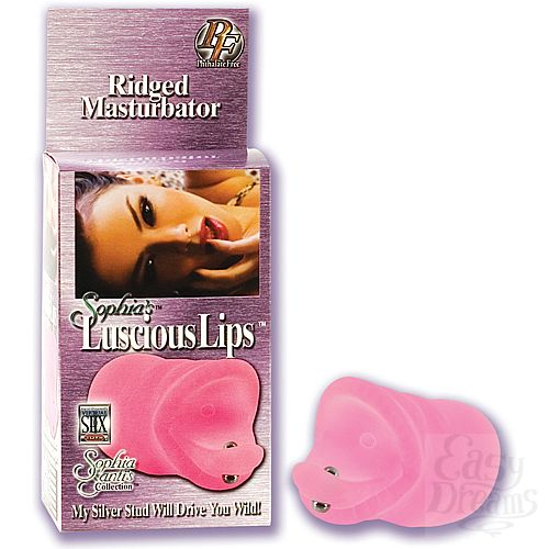 ���������� 1:  ������ ����� SOPHIA 7440-04 BX SE