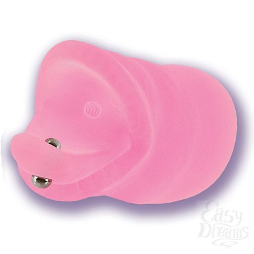 ���������� 2  ������ ����� SOPHIA 7440-04 BX SE