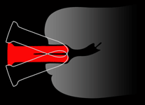 Split Dildo