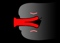 Split Dildo