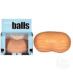  ������ ��������-����������