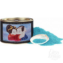  ���� ��� ������ Shunga