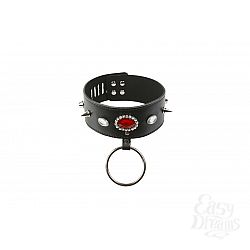 Дизайнерский ошейник с шипами и кольцом, Черный Дизайнерский ошейник с шипами и кольцом, Черный
