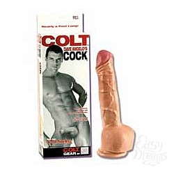  ������������� ���� �������