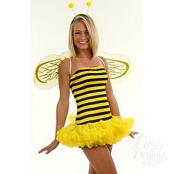  ������ ����� ������