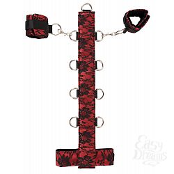      Collar by Bad Kitty    