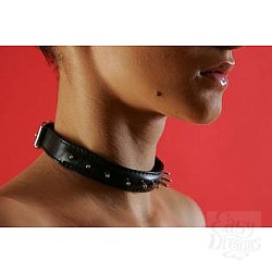 Ошейник узкий (декоративный) Ошейник узкий (декоративный)