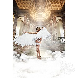 Чулки белые с задним швом Чулки белые с задним швом