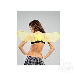  ������ ������ ������ 02444 SM