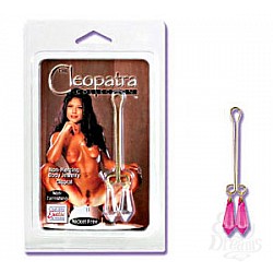 Зажим для половых губ с фиолетовыми кристаллами Зажим для половых губ с фиолетовыми кристаллами