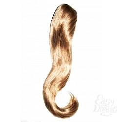  ����� �� ���������