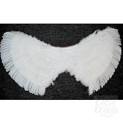  ������ ���������� ����� 105x70 �� 02423