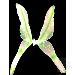  ������ ��� ����� ������� 02478