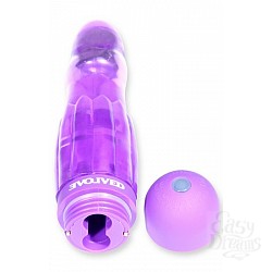  �������� Evolved, ���������, 17 ��