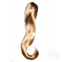  ����� �� �������