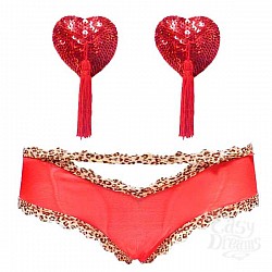  �������� ���� ������-�������� � ���������� � ������� ��������