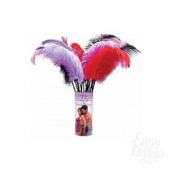   Love Plumes, 1 .