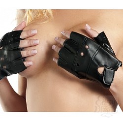  ����������� �������� &ndash; ���, �� ���� ������ ������ ������ �������.