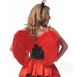  ������ �������� ������������ 60�50�� �������