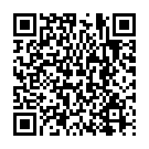    "    BDSM Light 730003ars"  