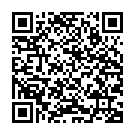    " Fun Factory Stronic Drel,  "  