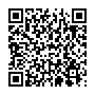    "     Flamenco Chemise"  