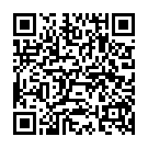    " Hi-end Tenga Flip Hole Silver"  